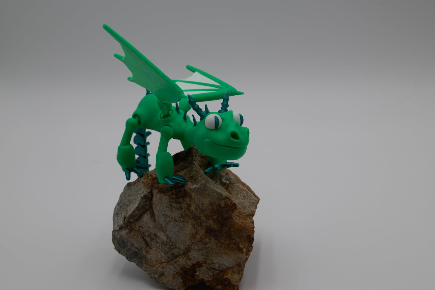 Storm Fly