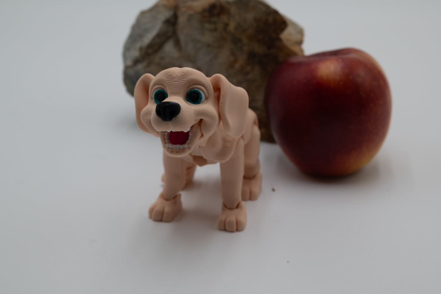 Labrador Dog