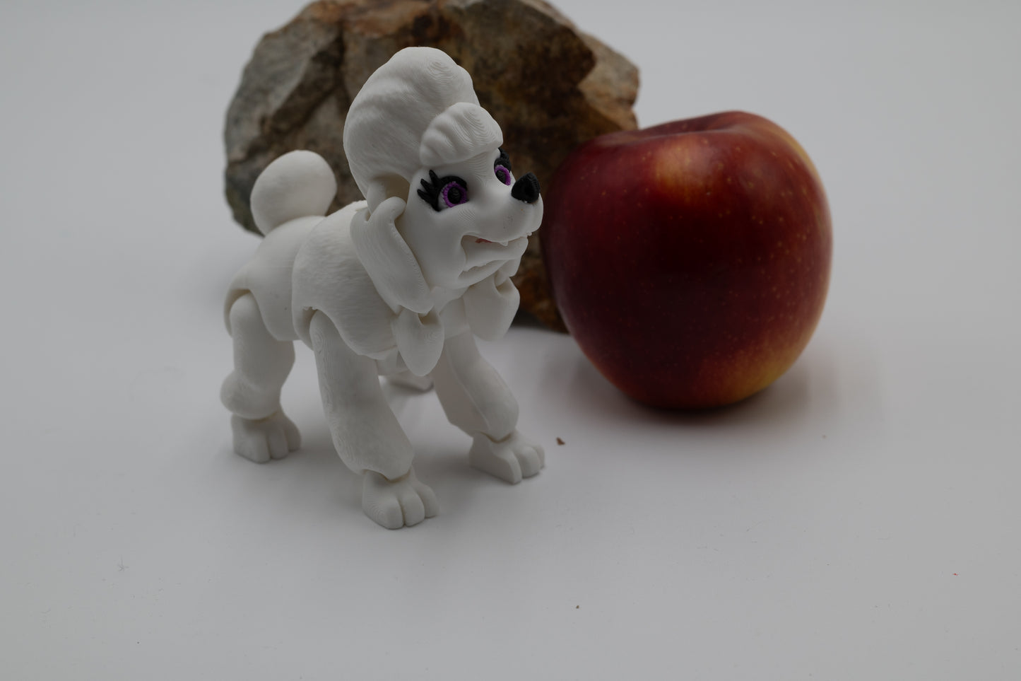 Poodle Dog