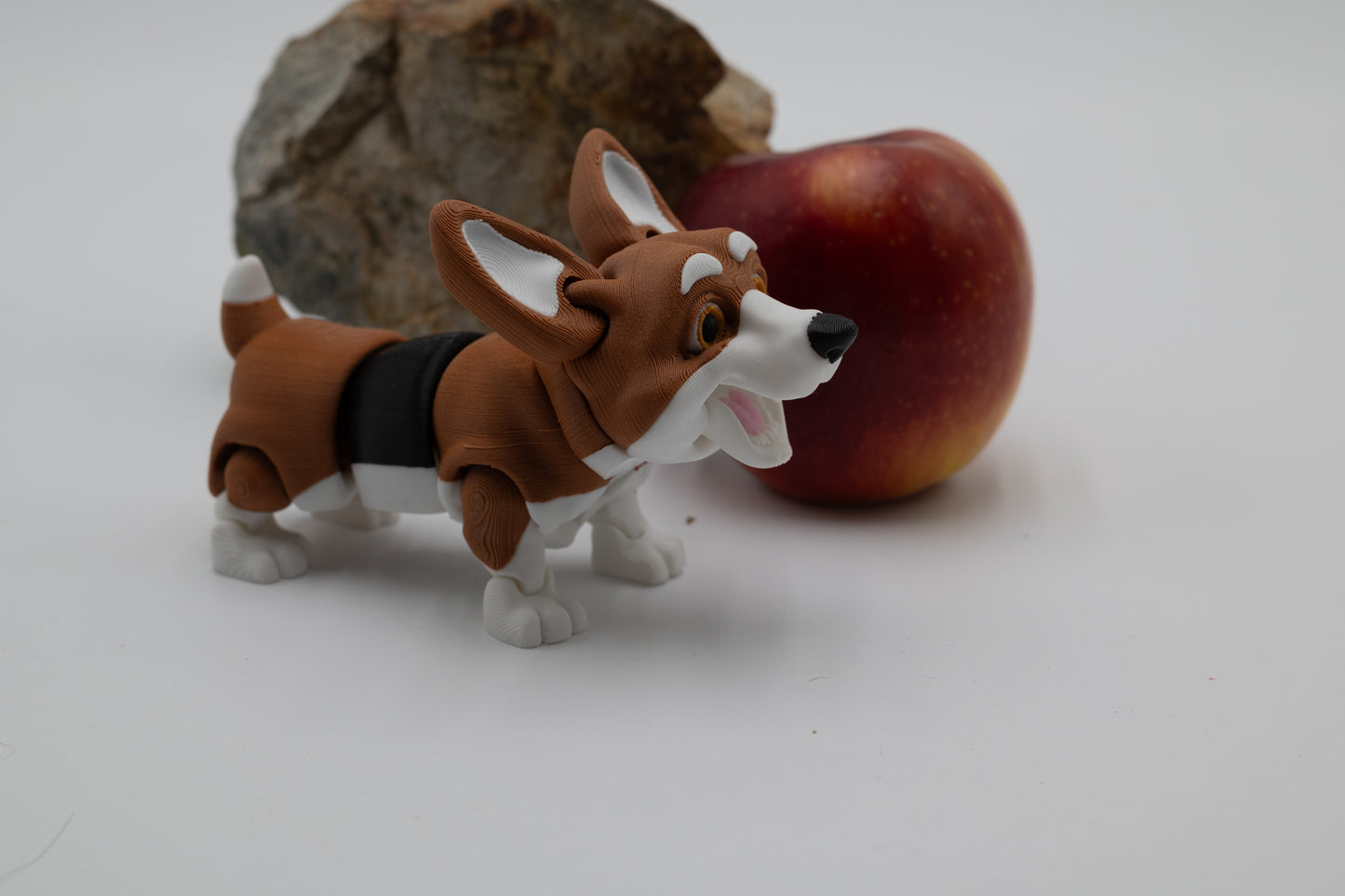 Corgi Dog