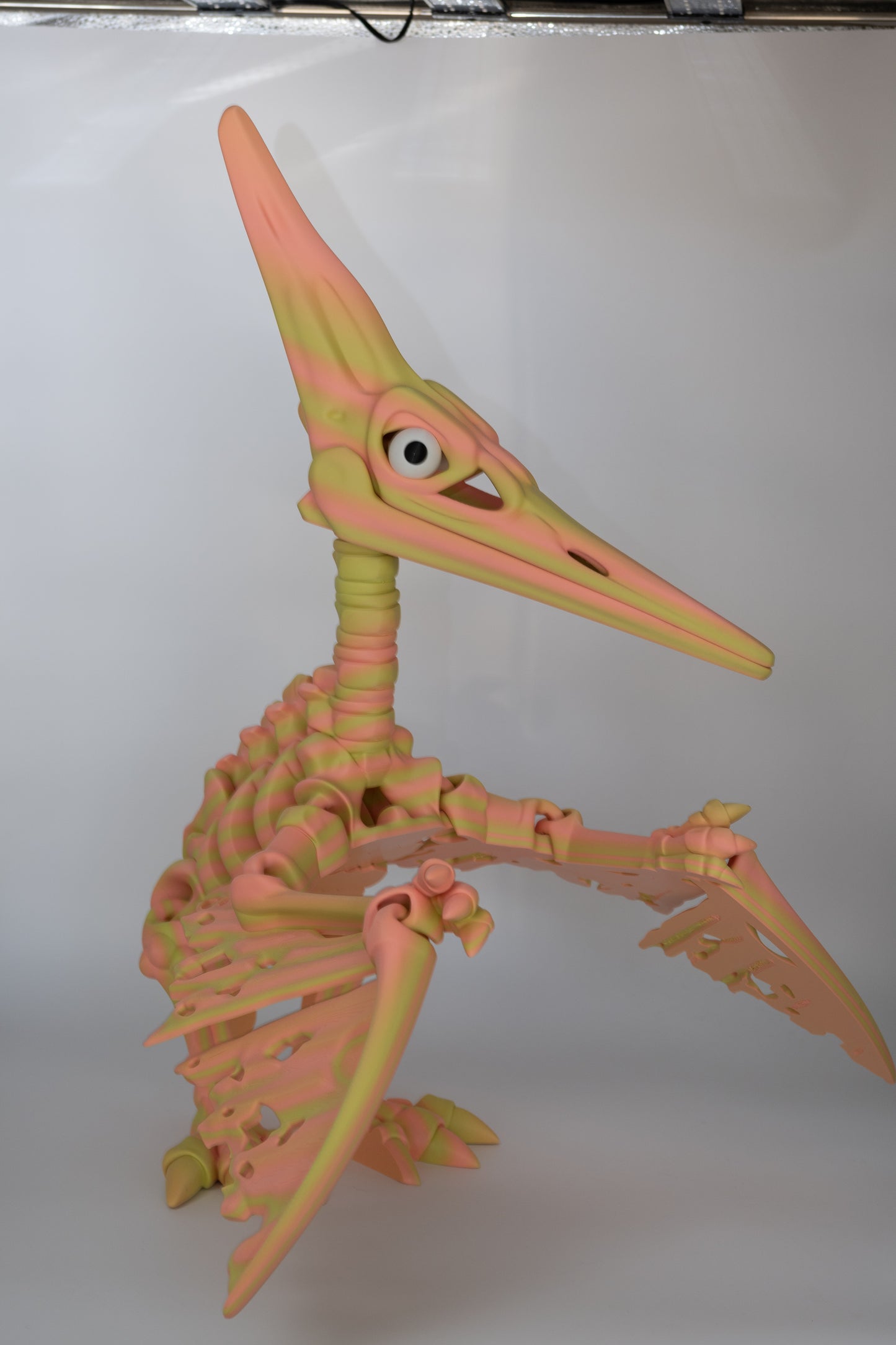Oversized Pterodactyl