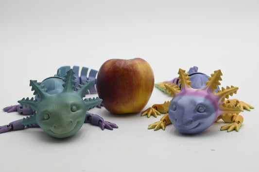 Axolotl