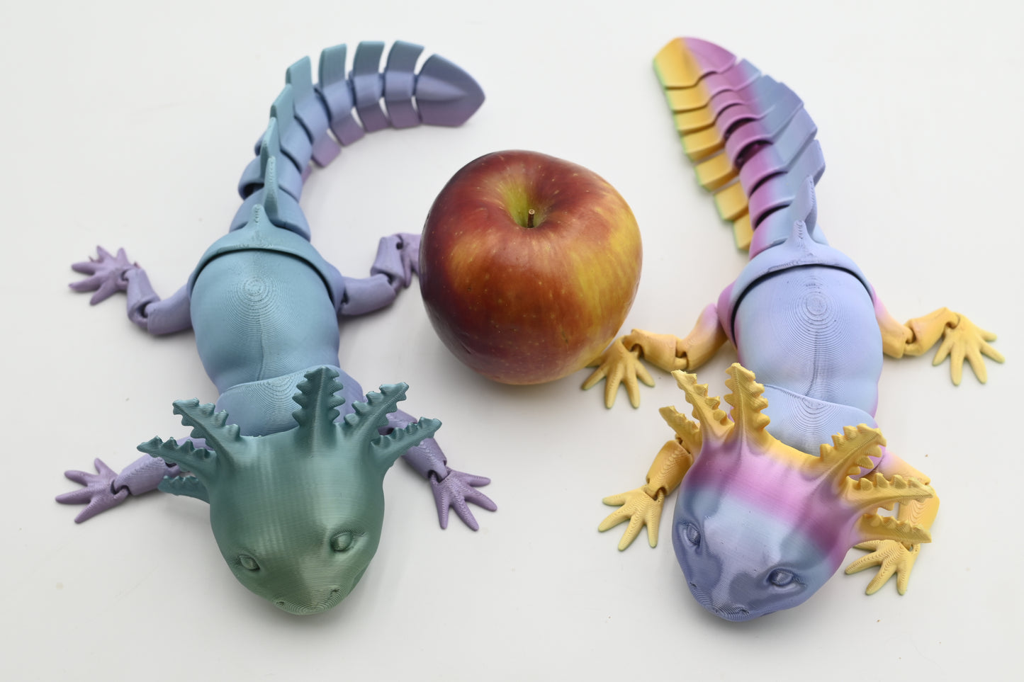 Axolotl