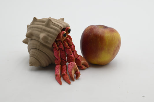 Hermit Crab