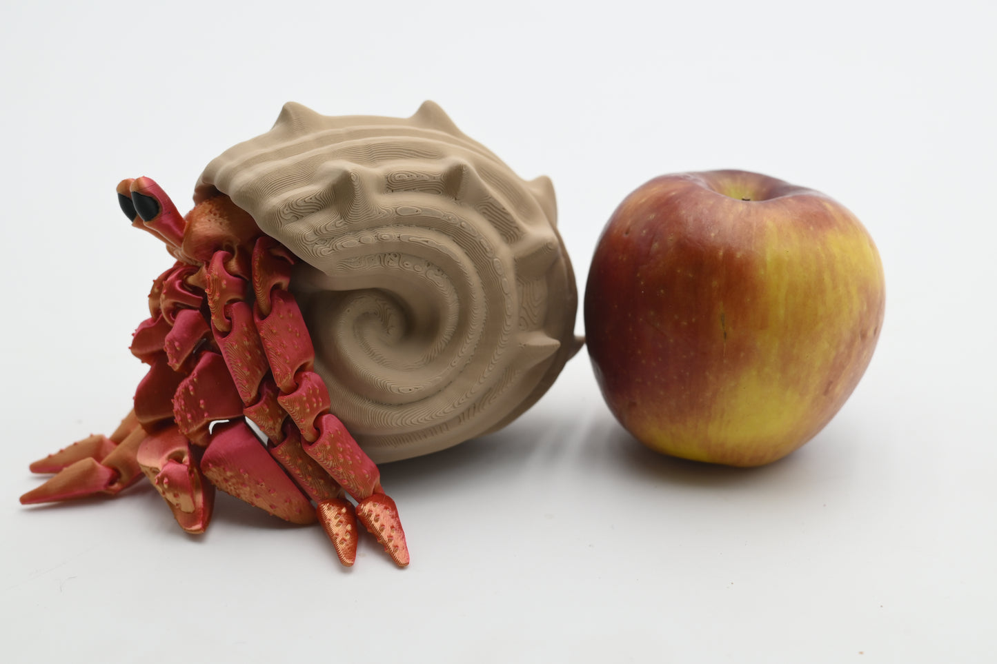 Hermit Crab