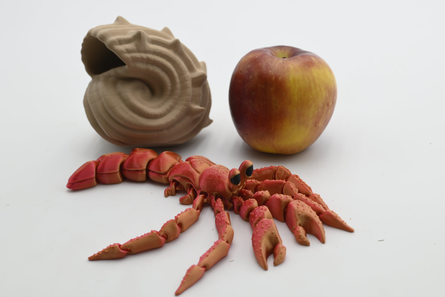 Hermit Crab