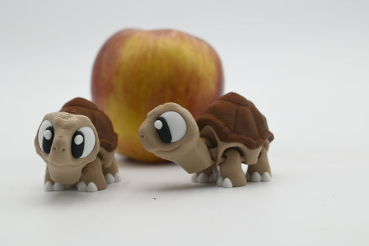Mini Tortoise
