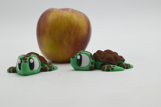 Mini Turtle