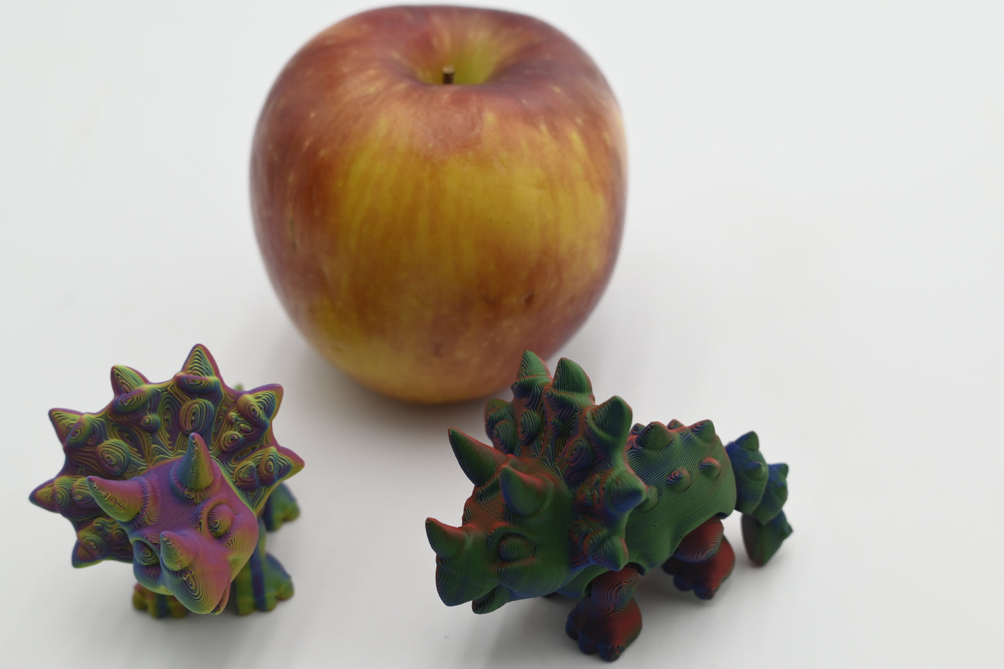 mini triceratops