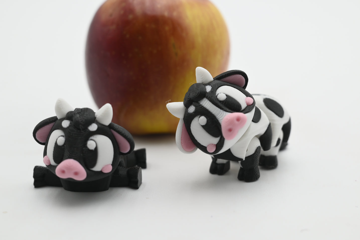 mini cows