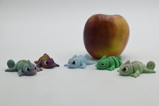 mini chameleons