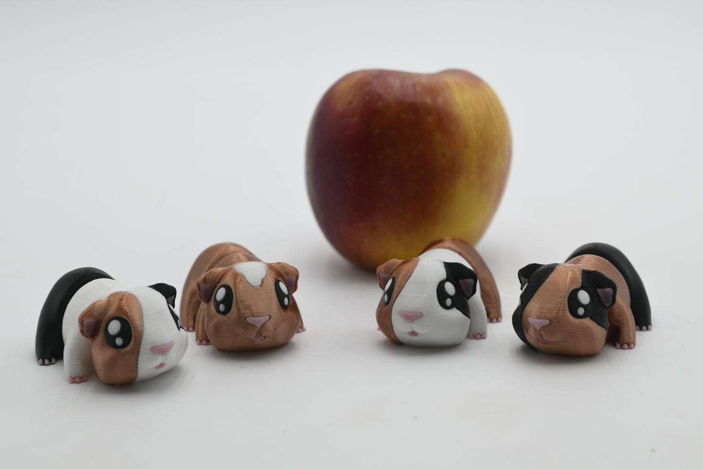 mini guinea pigs