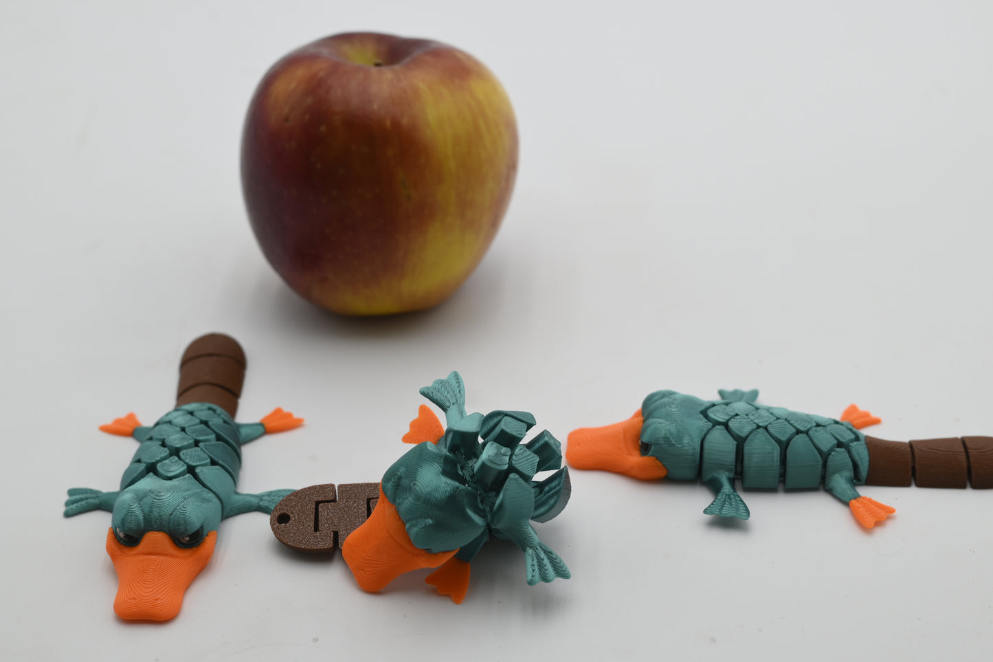 fidget platypus