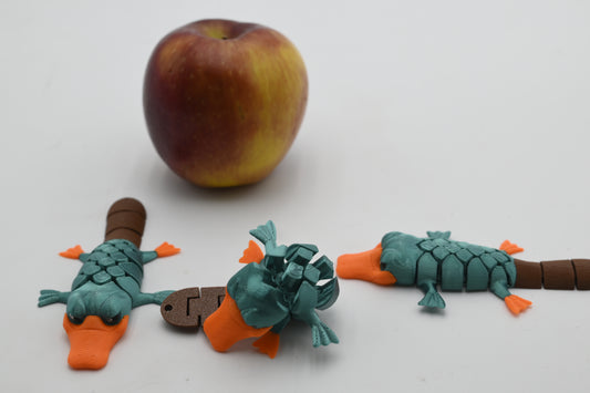 fidget platypus