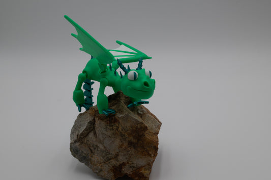 Storm Fly
