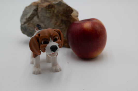 Beagle Dog