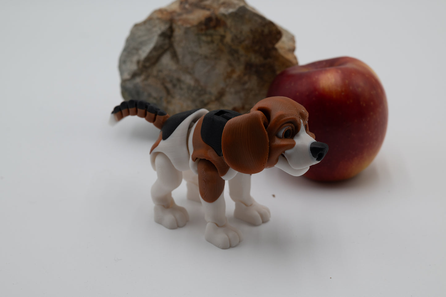 Beagle Dog