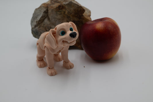 Labrador Dog