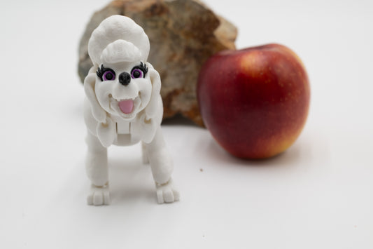 Poodle Dog
