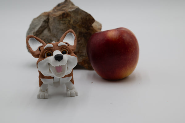 Corgi Dog