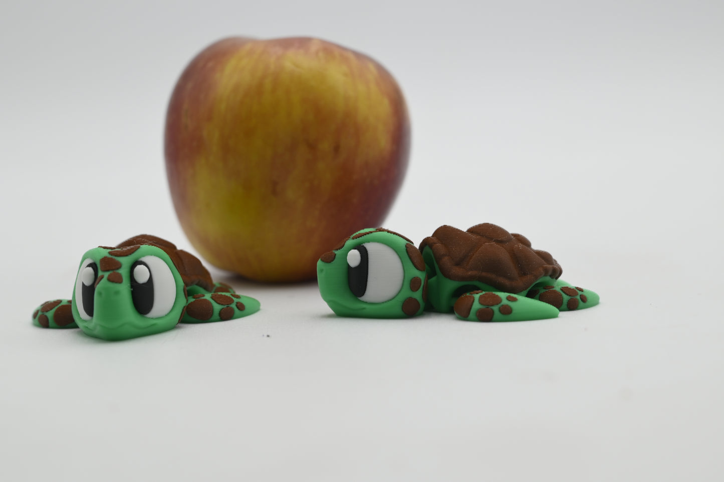 Mini Turtle