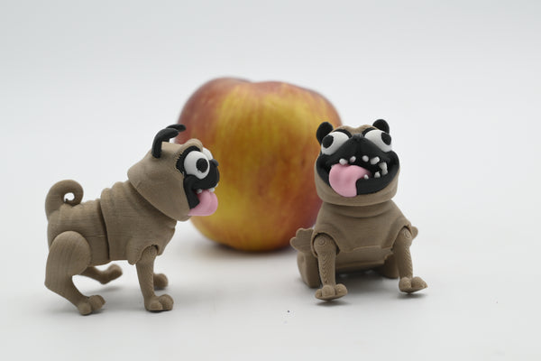 Little Pug