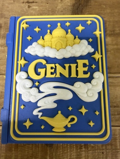 Genie Play Book